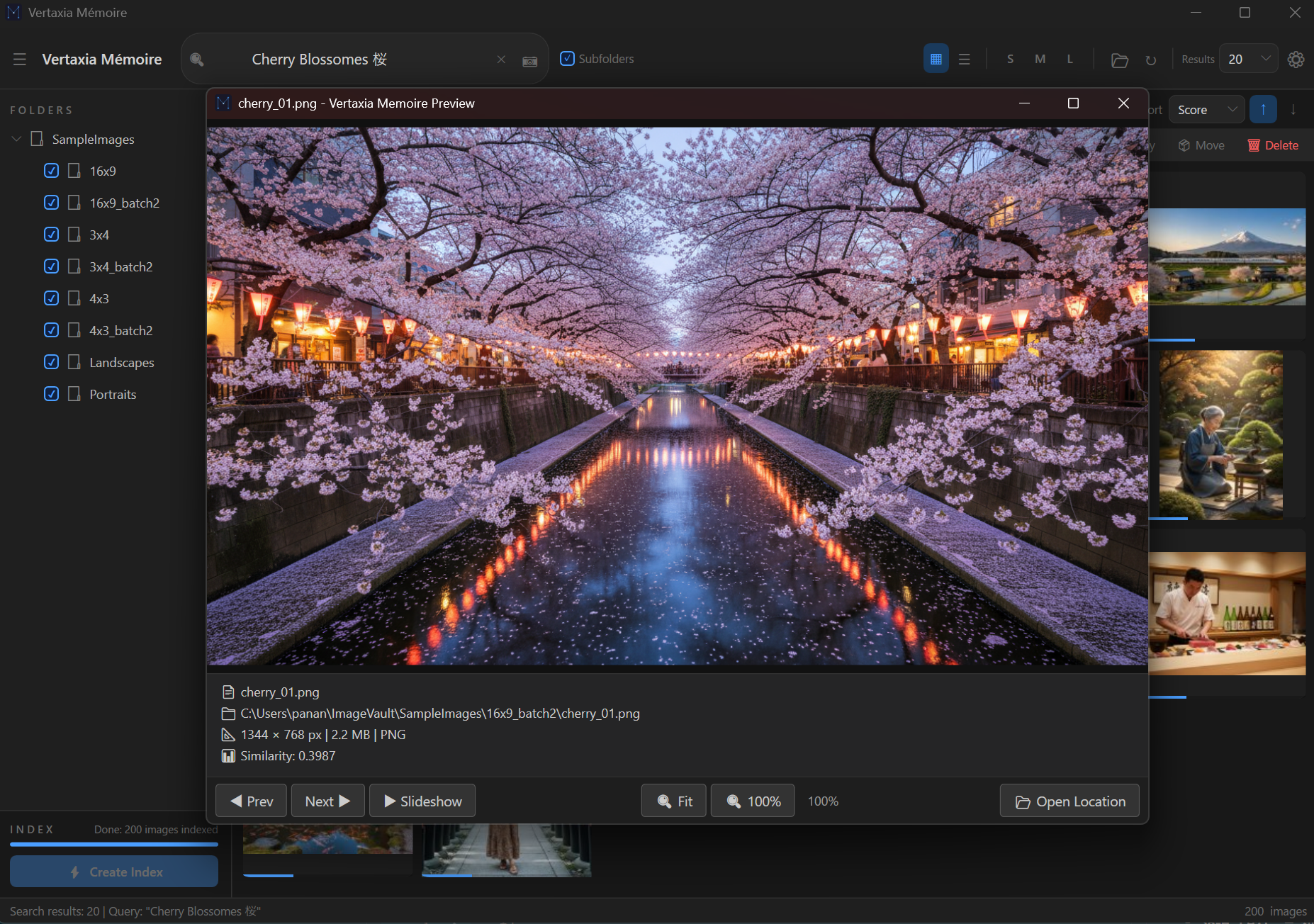 Vertaxia Mémoire — 夜桜プレビュー